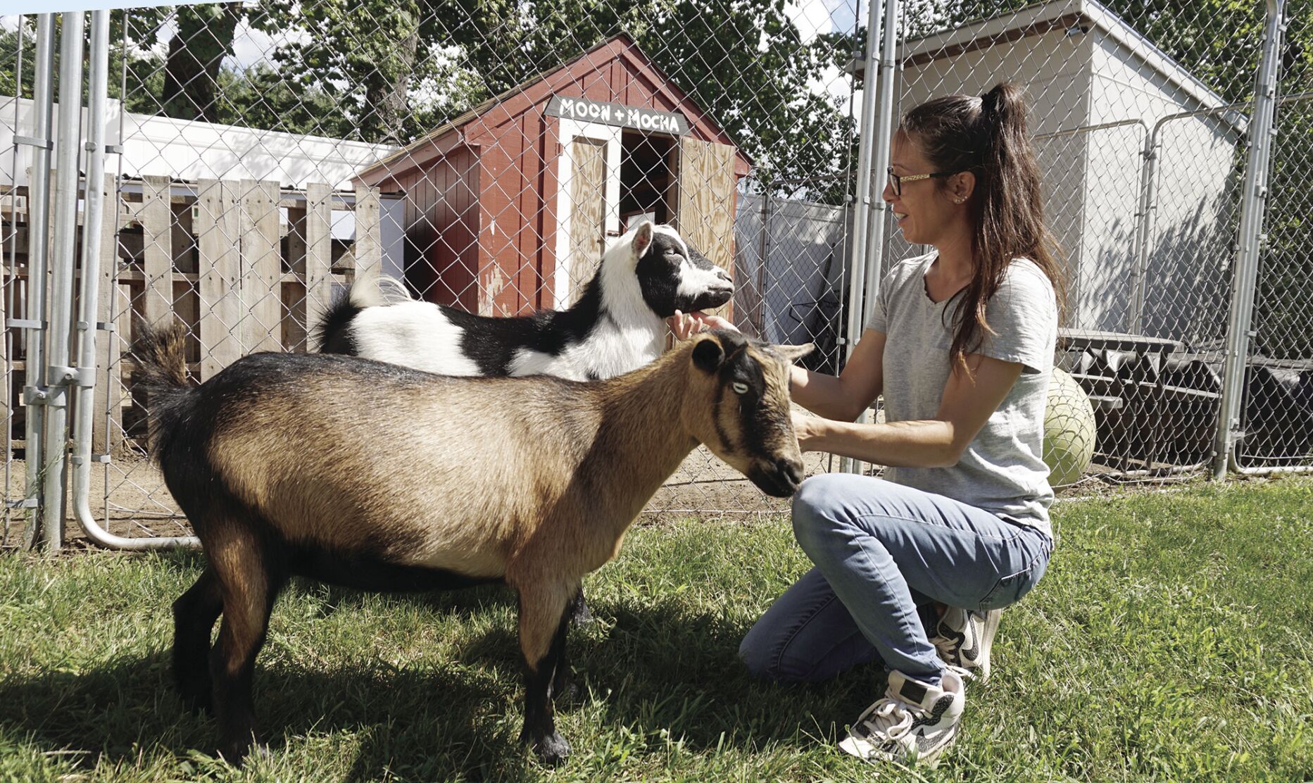 City Council to vote Monday on Garfield Street goats